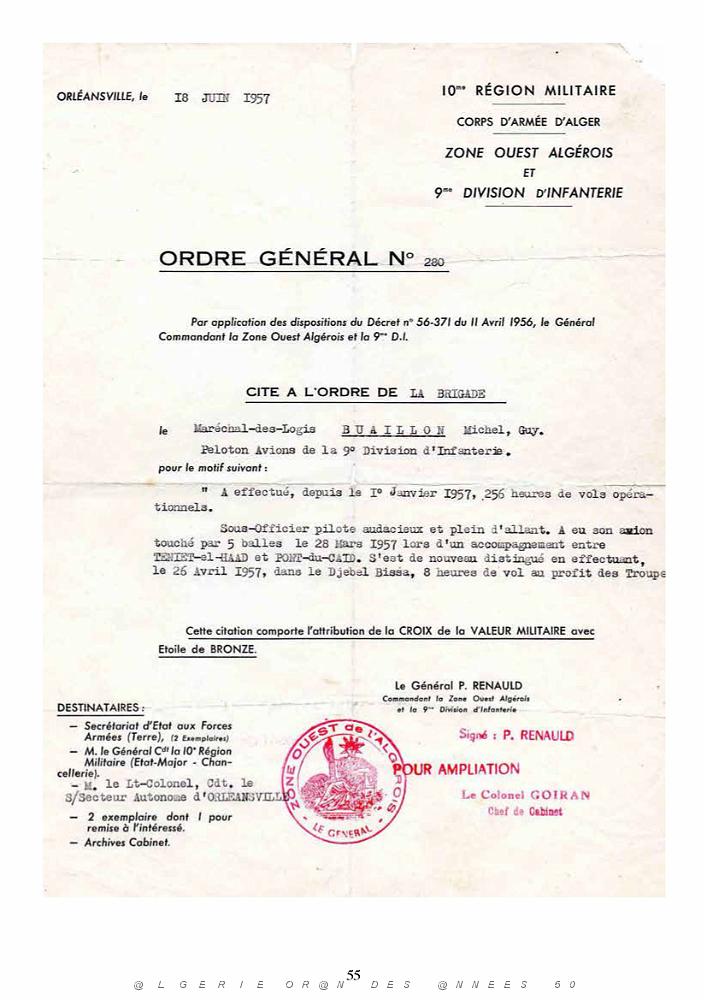 403-PEKINOIS VERT - MICHEL BUAILLON (59).jpg
